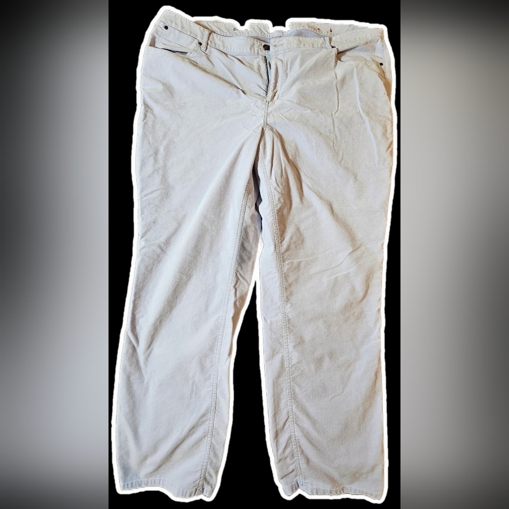 Talbots Baby Blue Velvet Pants Size 22